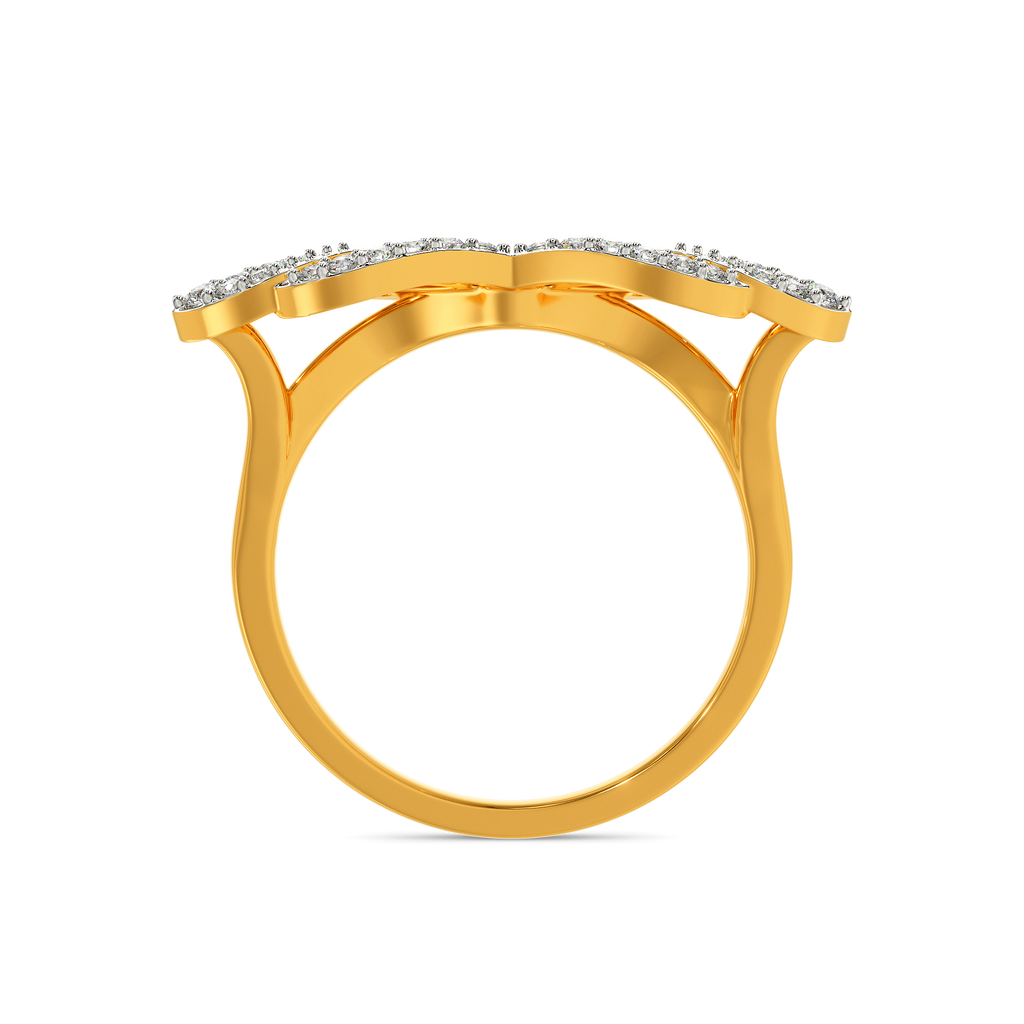 Celestial Party Land Diamond Rings image