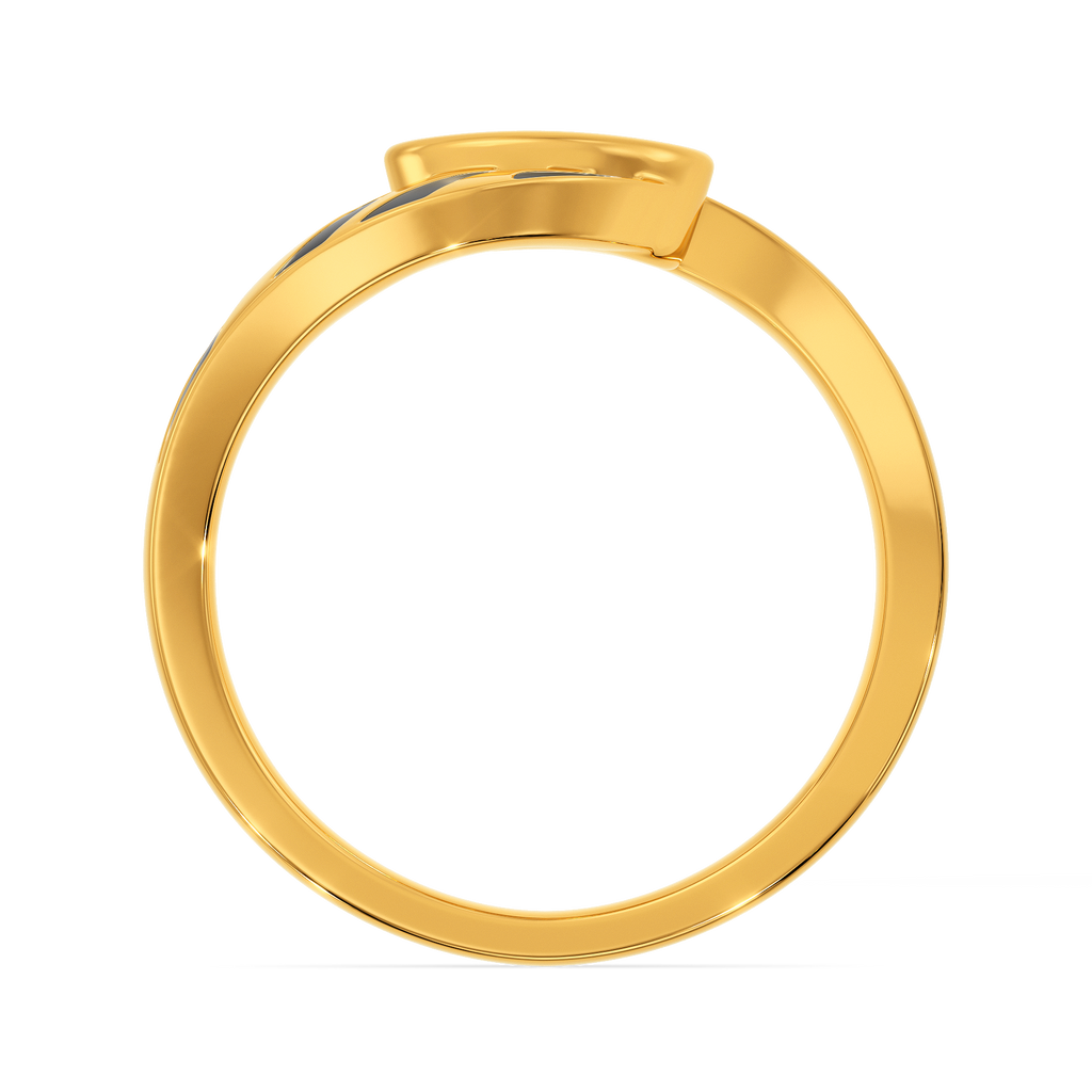 Tales From A Jungle Gold Rings image