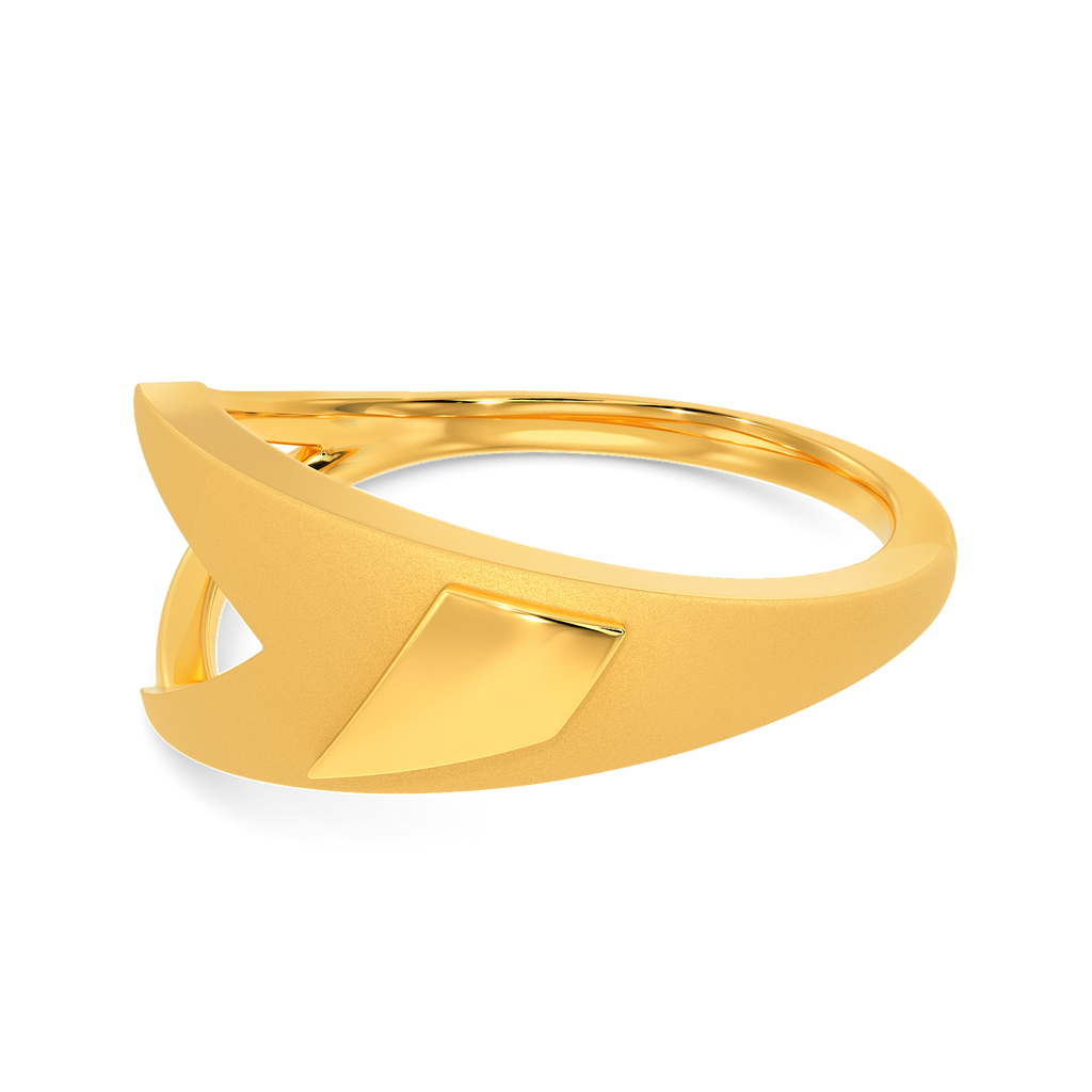 Armor Up Gold Rings alternate view 2