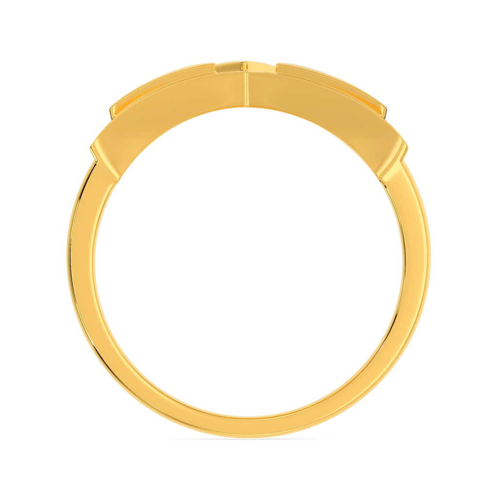 In The Battlefield Gold Rings image