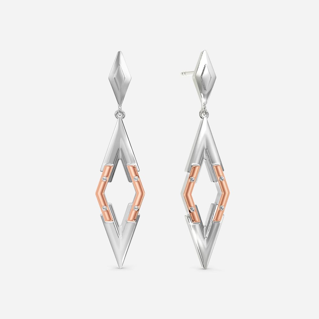 Road Runner Gold Earrings