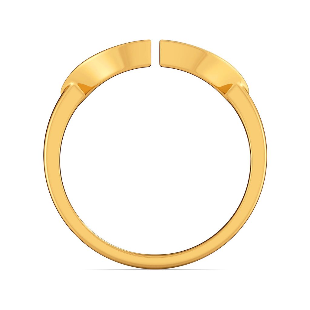 A French Fit Gold Rings image