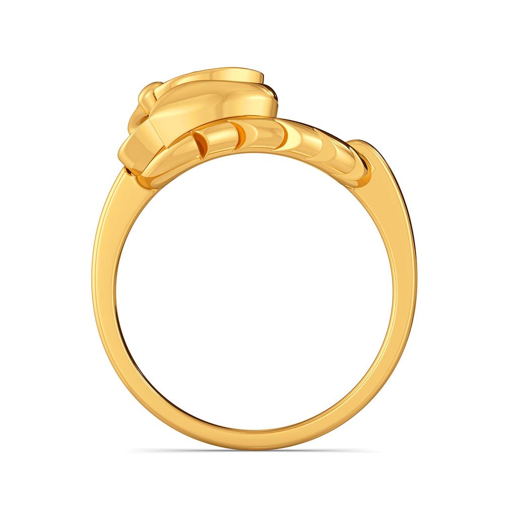 Thorn Theory Gold Rings image