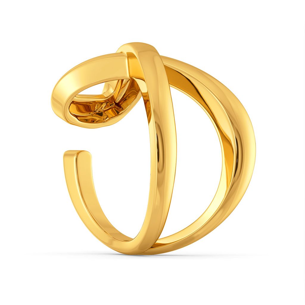 Flap Straps Gold Rings image