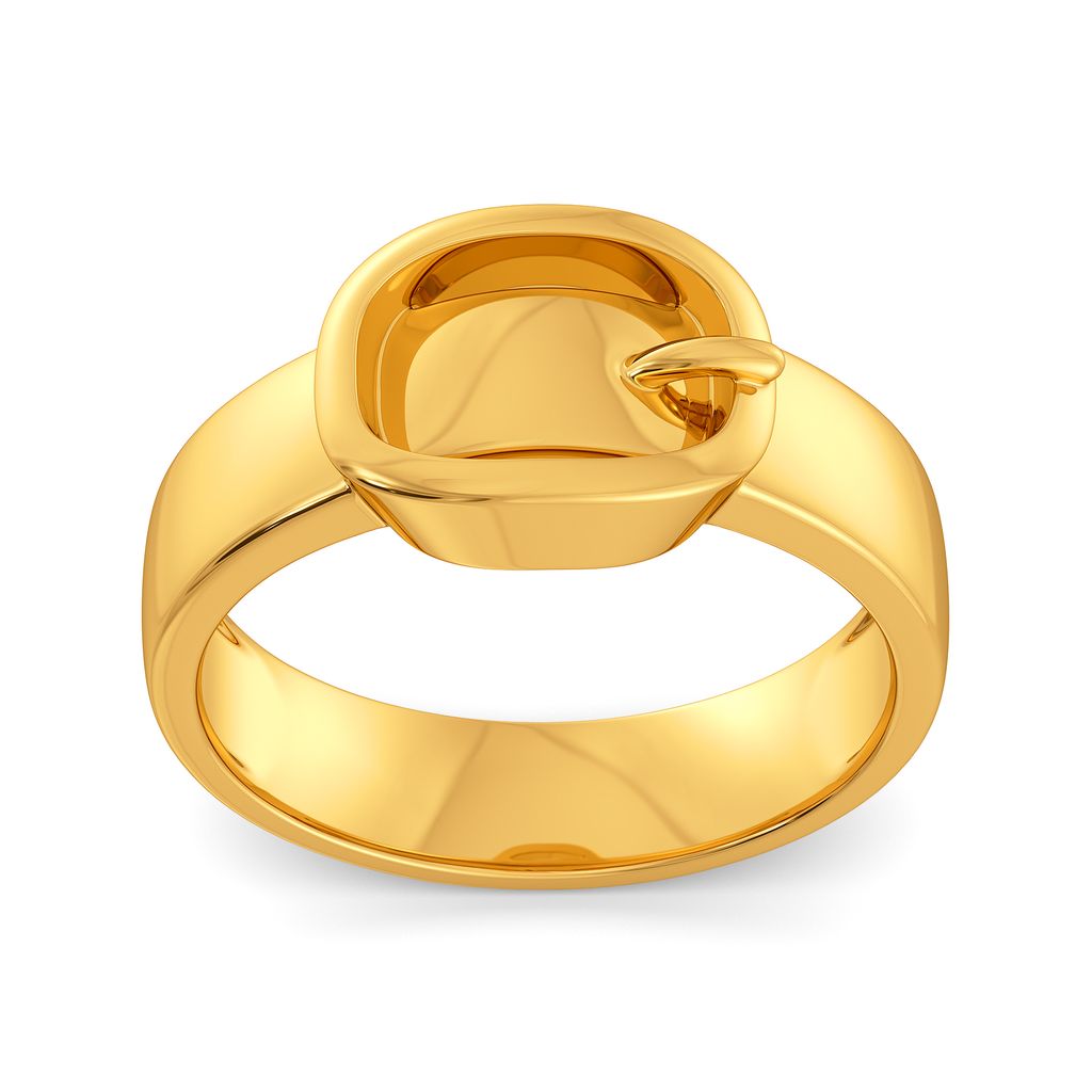 Flatter Me Belt Gold Rings alternate view 2