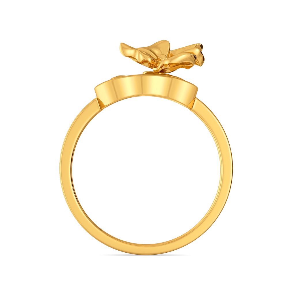 Ivy Energy Gold Rings image
