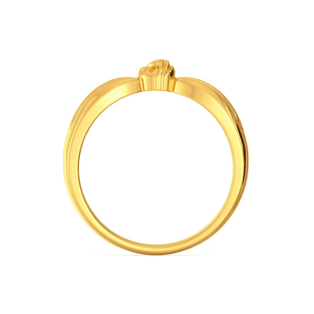 Knot Plot Gold Rings image