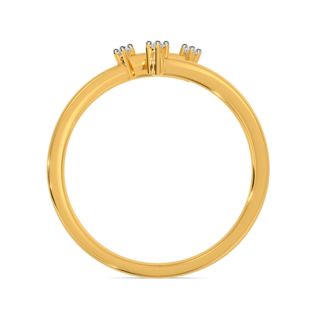 Tough N Tender Diamond Rings image