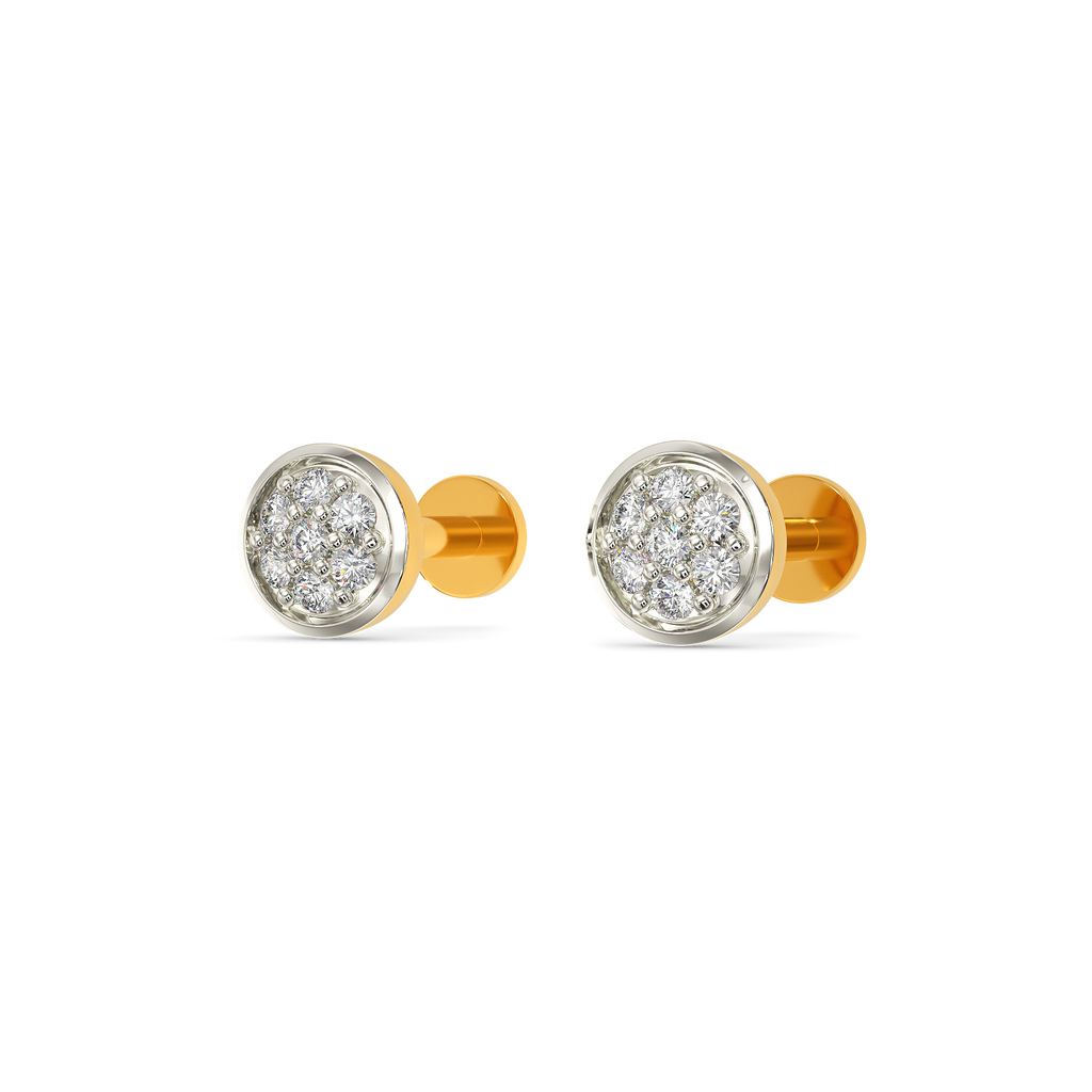 Encrusted Diamond Earrings