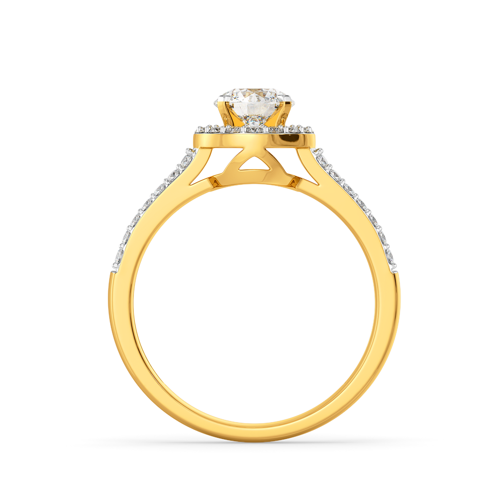 Sweep You Of Diamond Rings image