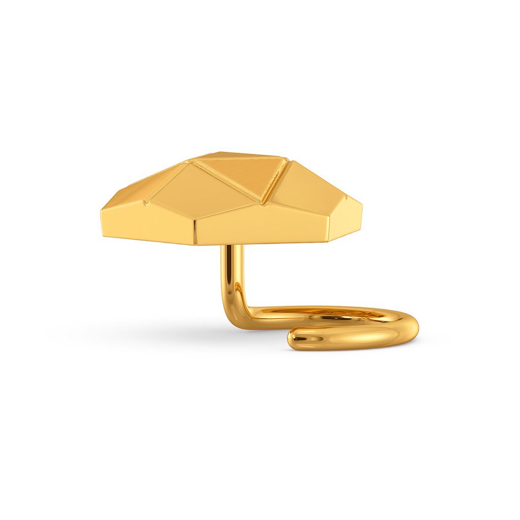 Fractal Finesse Gold Nose Pins