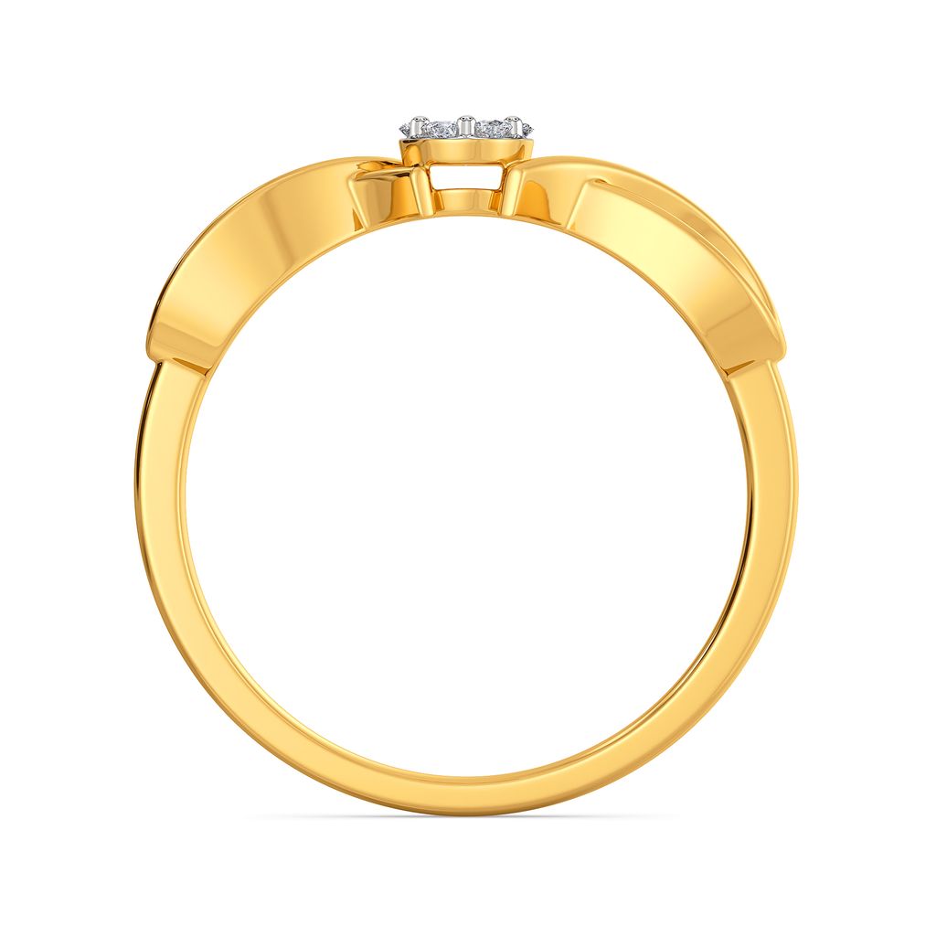 Chic Parade Diamond Rings image