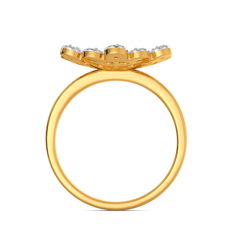 Star Cluster Diamond Rings image