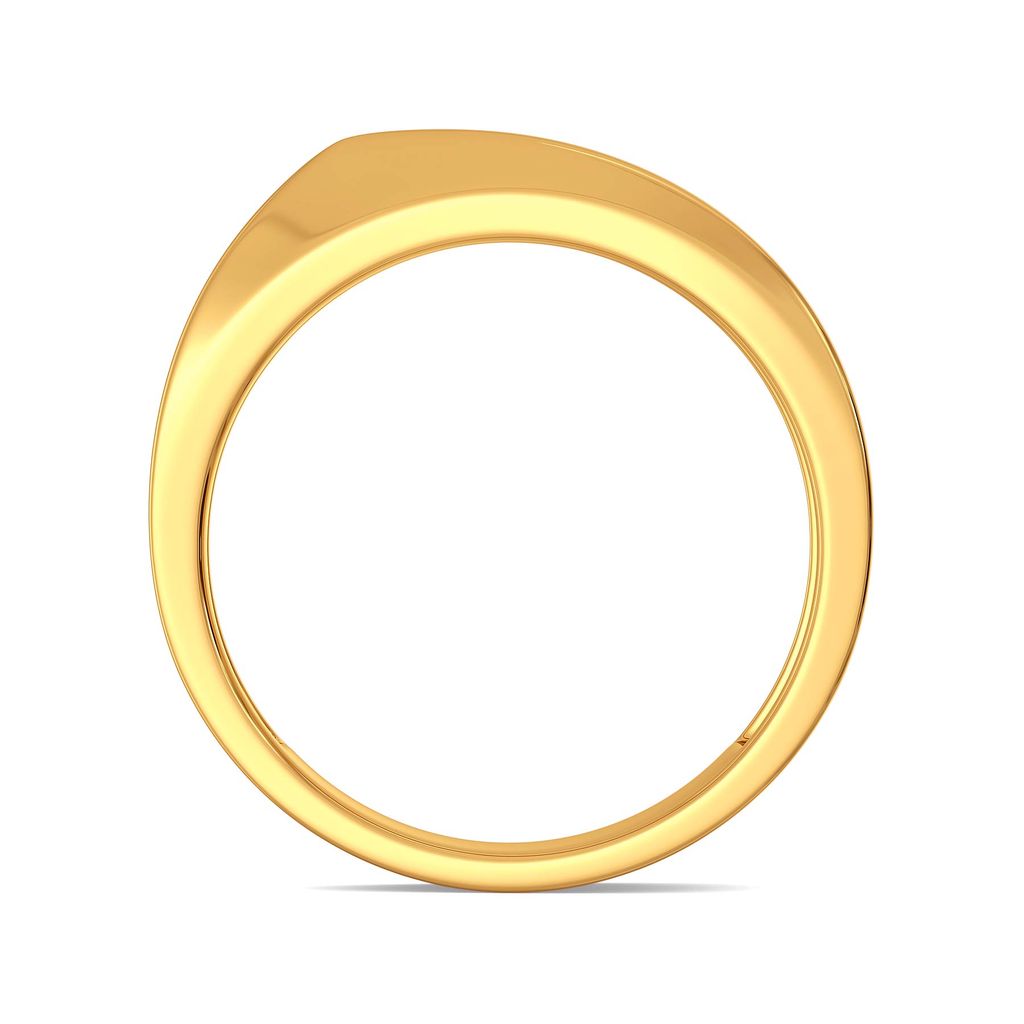 Fitted Finesse Gold Rings image