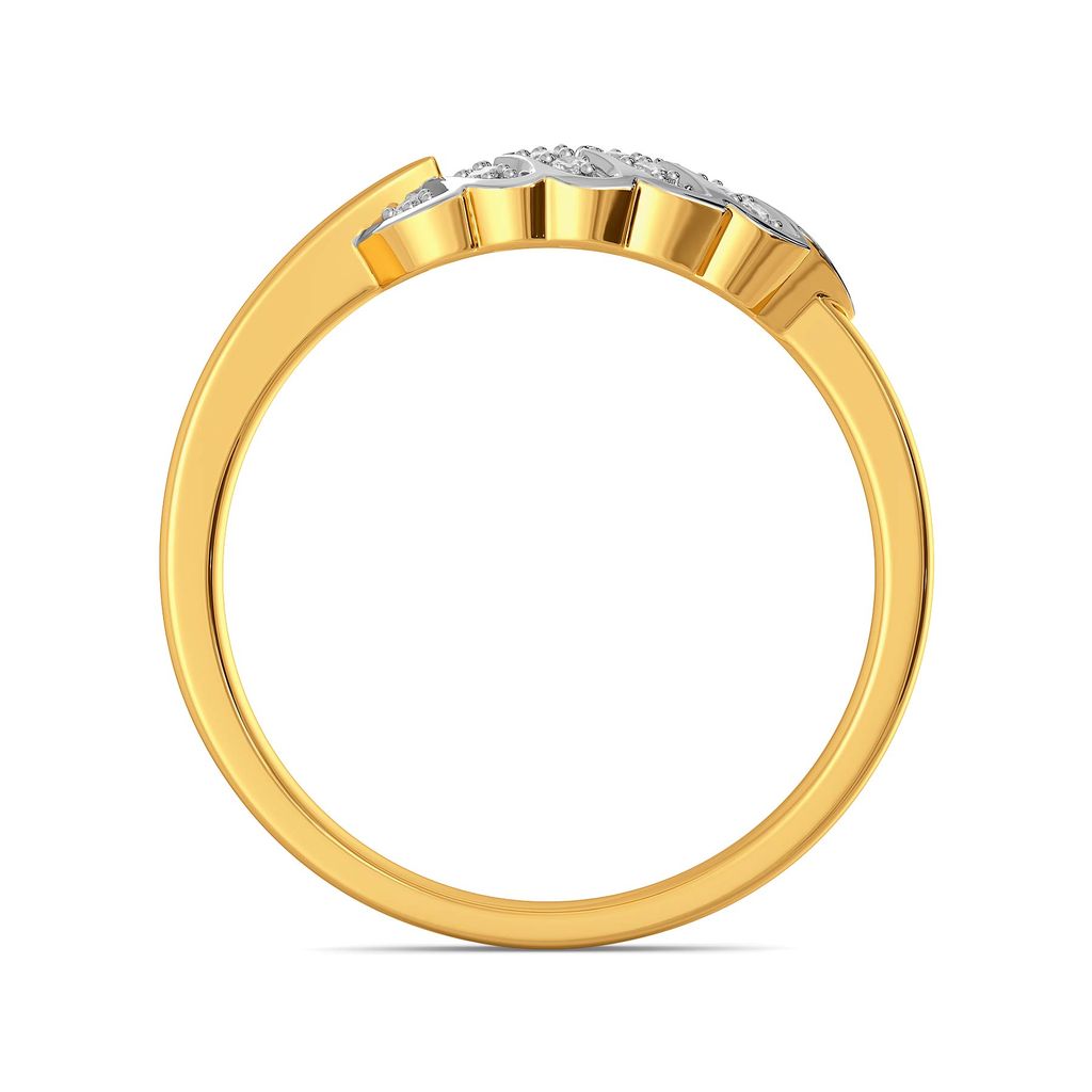 The Fern Coast Diamond Rings image