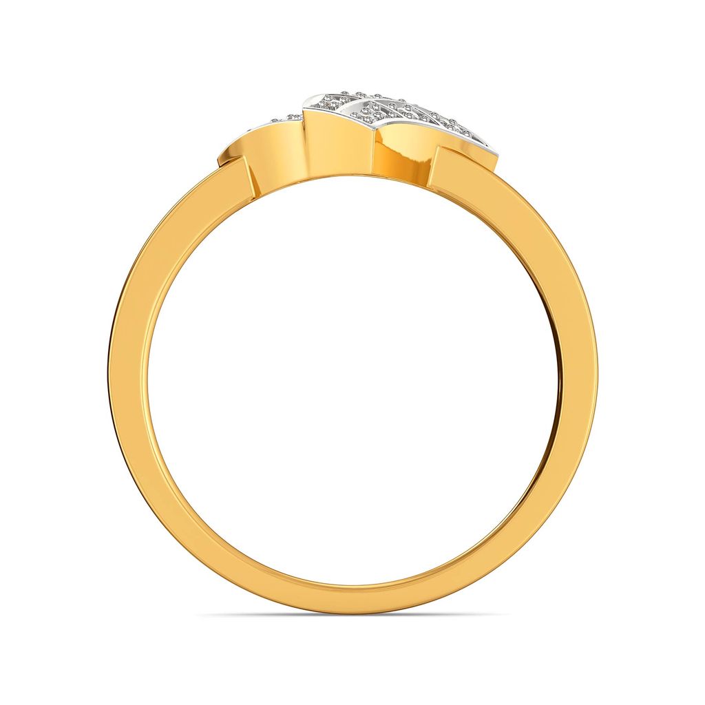 Plaid Lover Diamond Rings image