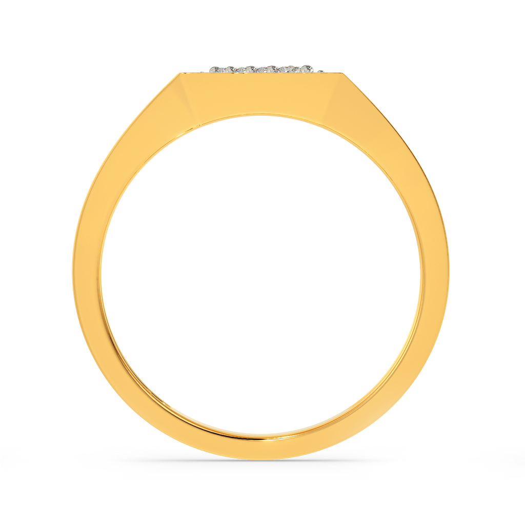 Wild Path Diamond Rings For Men image