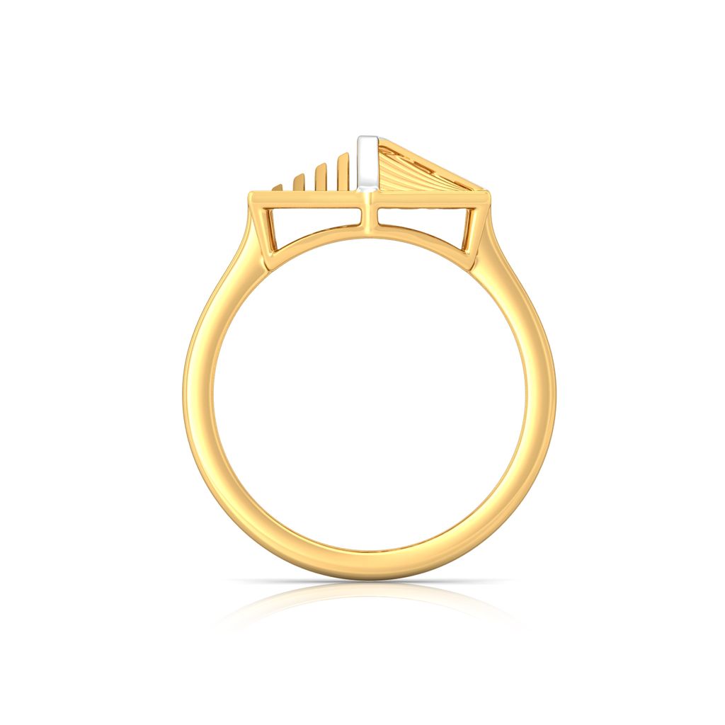 Hexa-Face Gold Rings image