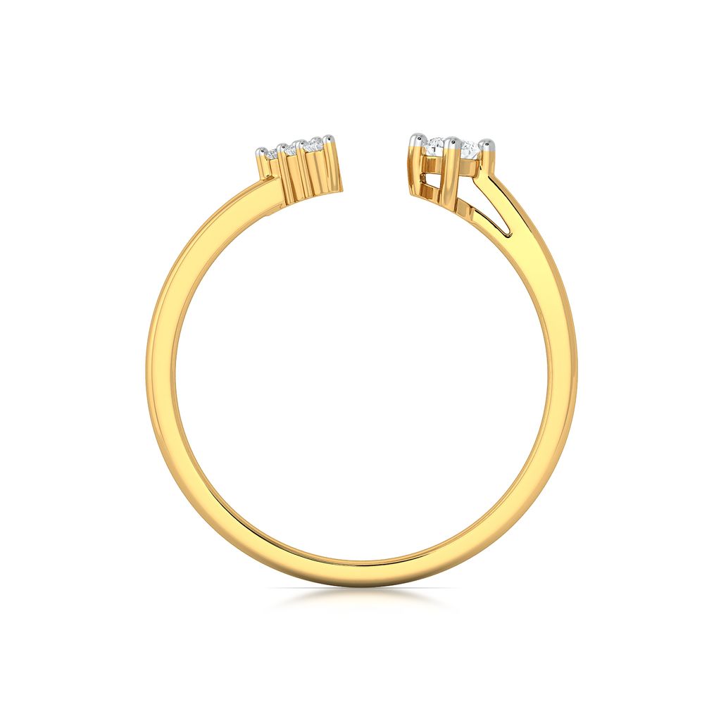 A Dot Plot Diamond Rings image