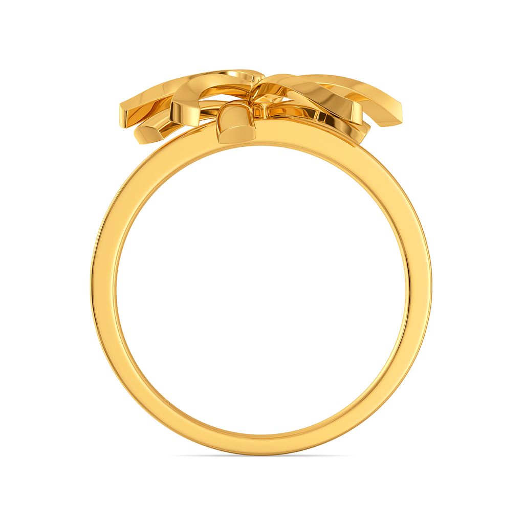 Disco Chic Gold Rings image