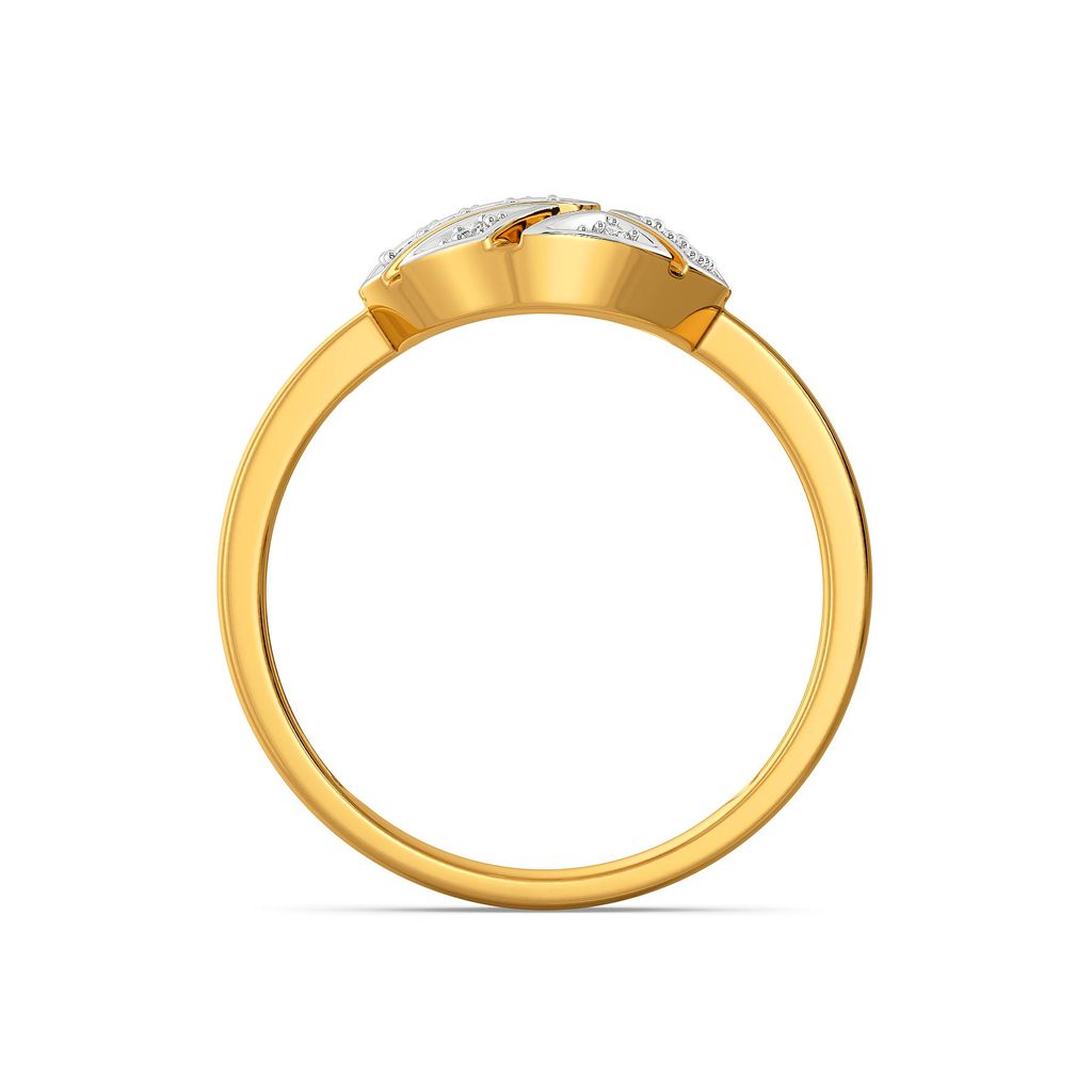 Chic Confetti Diamond Rings image