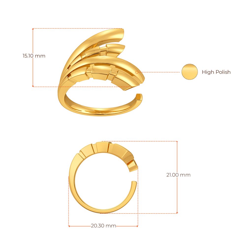 Disco Vogue Gold Rings image