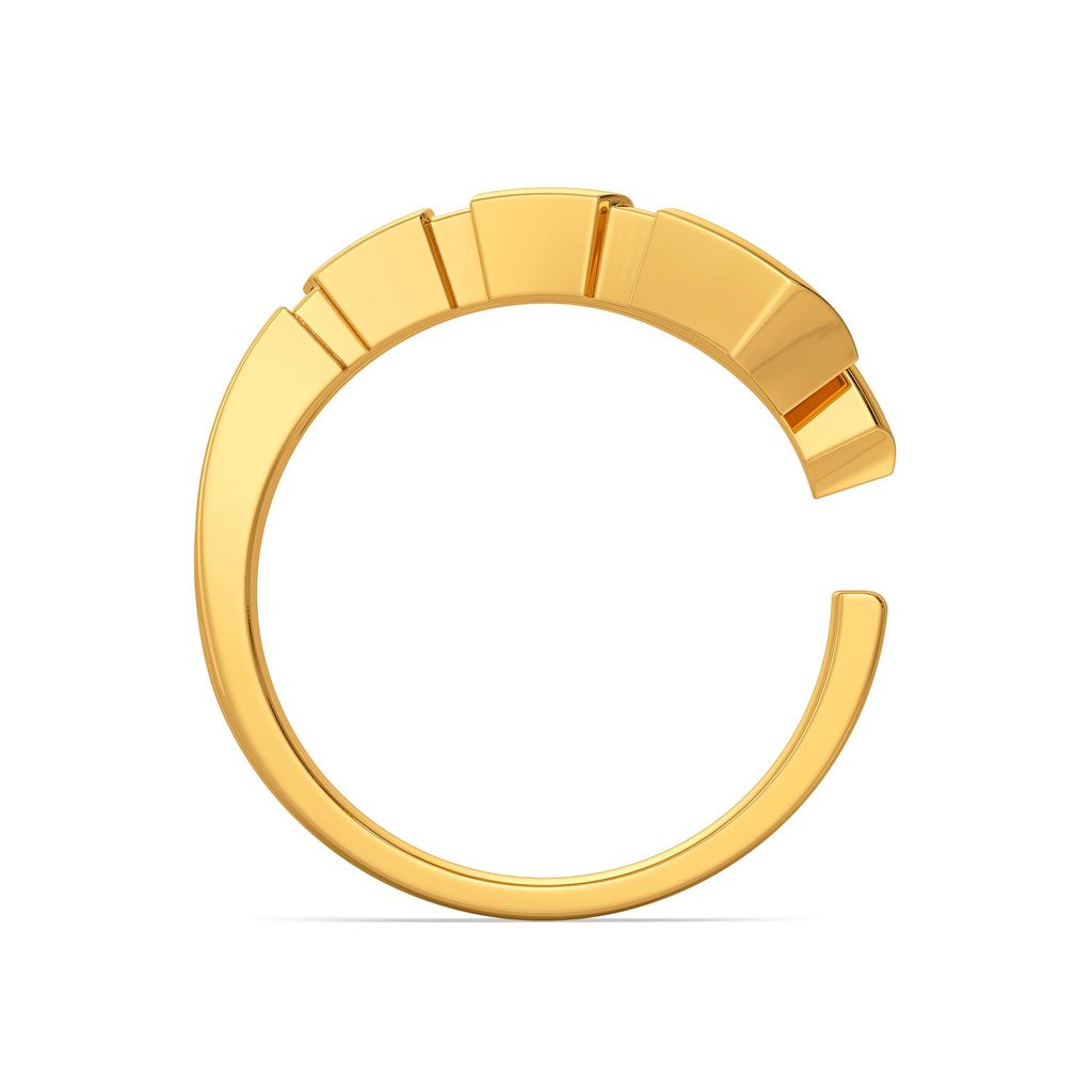 Disco Vogue Gold Rings image
