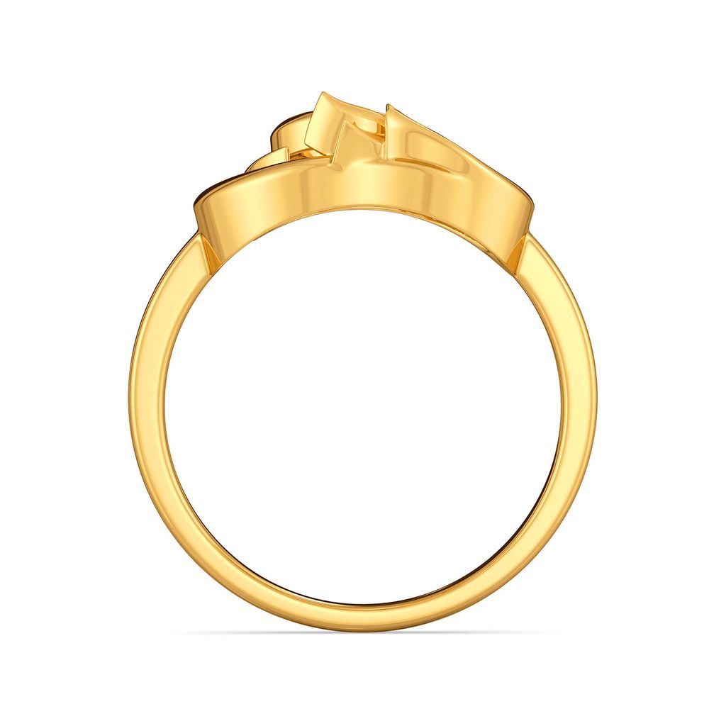 Loop De Vine Gold Rings image