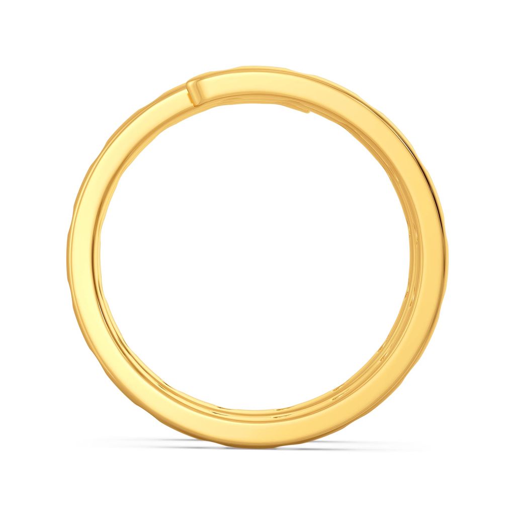 Feisty Reps Gold Rings image