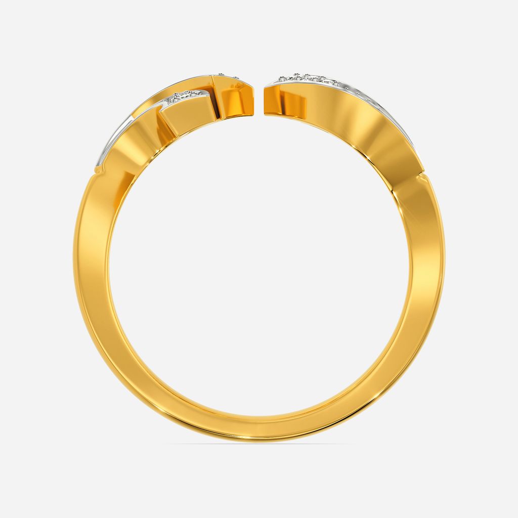 Aqua Fins Diamond Rings image