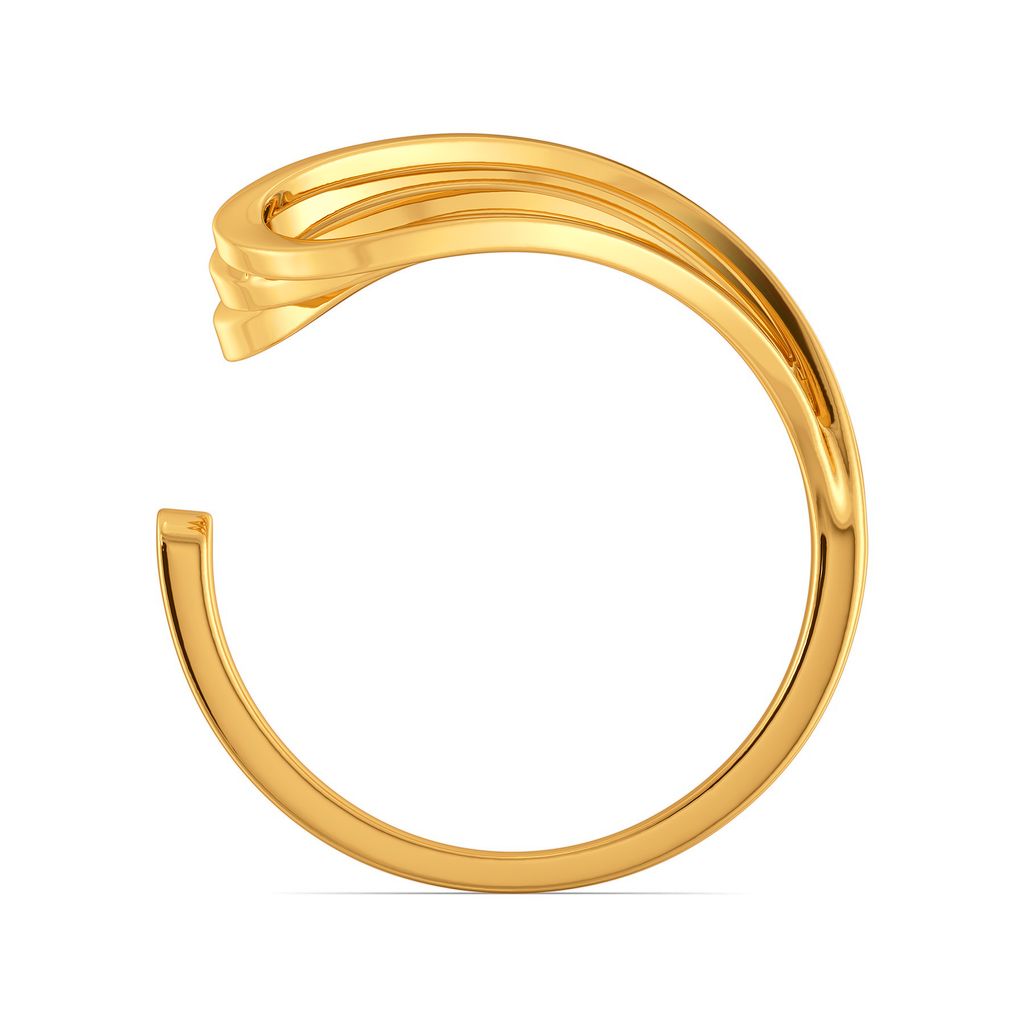 Volume Vision Gold Rings image