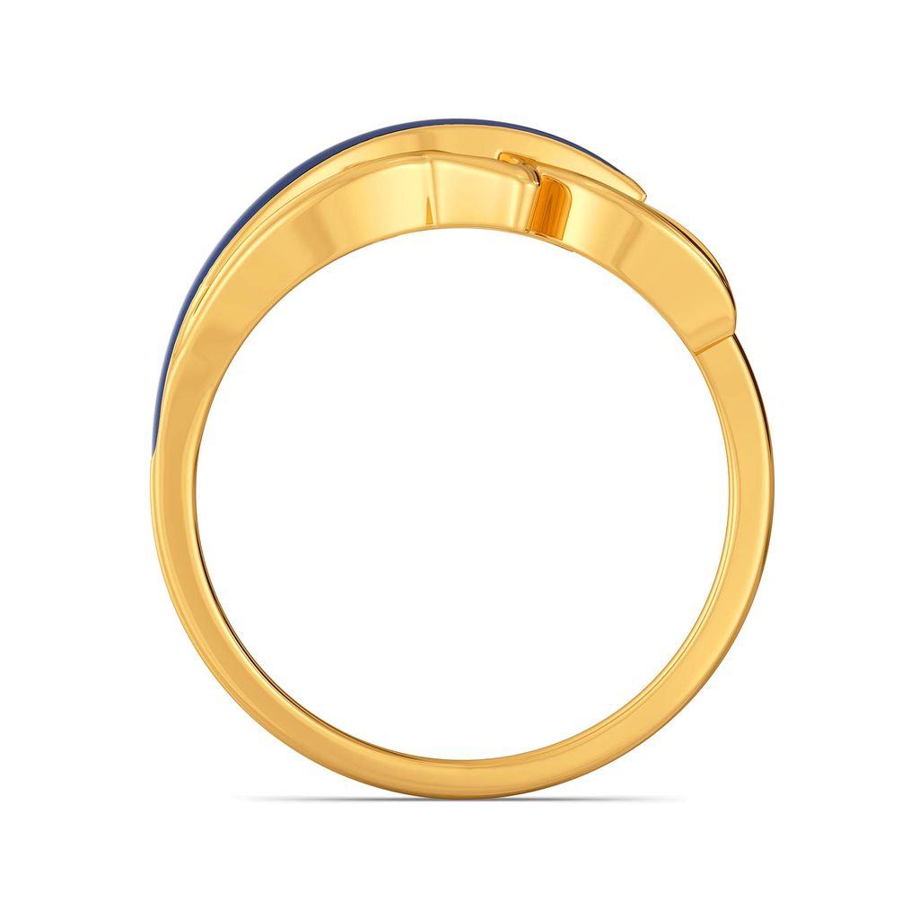 Blue Plumes Gold Rings image