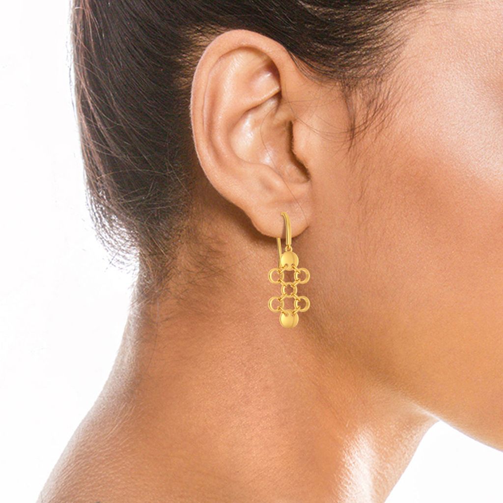 Port And Net Gold Earrings