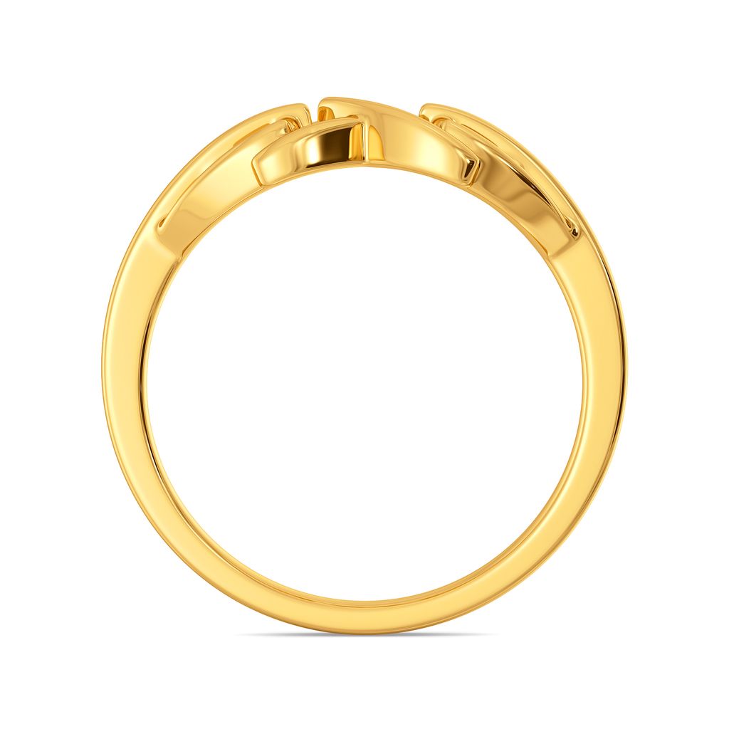 Rebel Instincts Gold Rings image