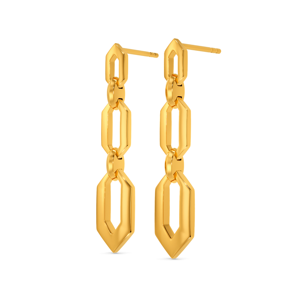 Chains In Hexa Gold Earrings