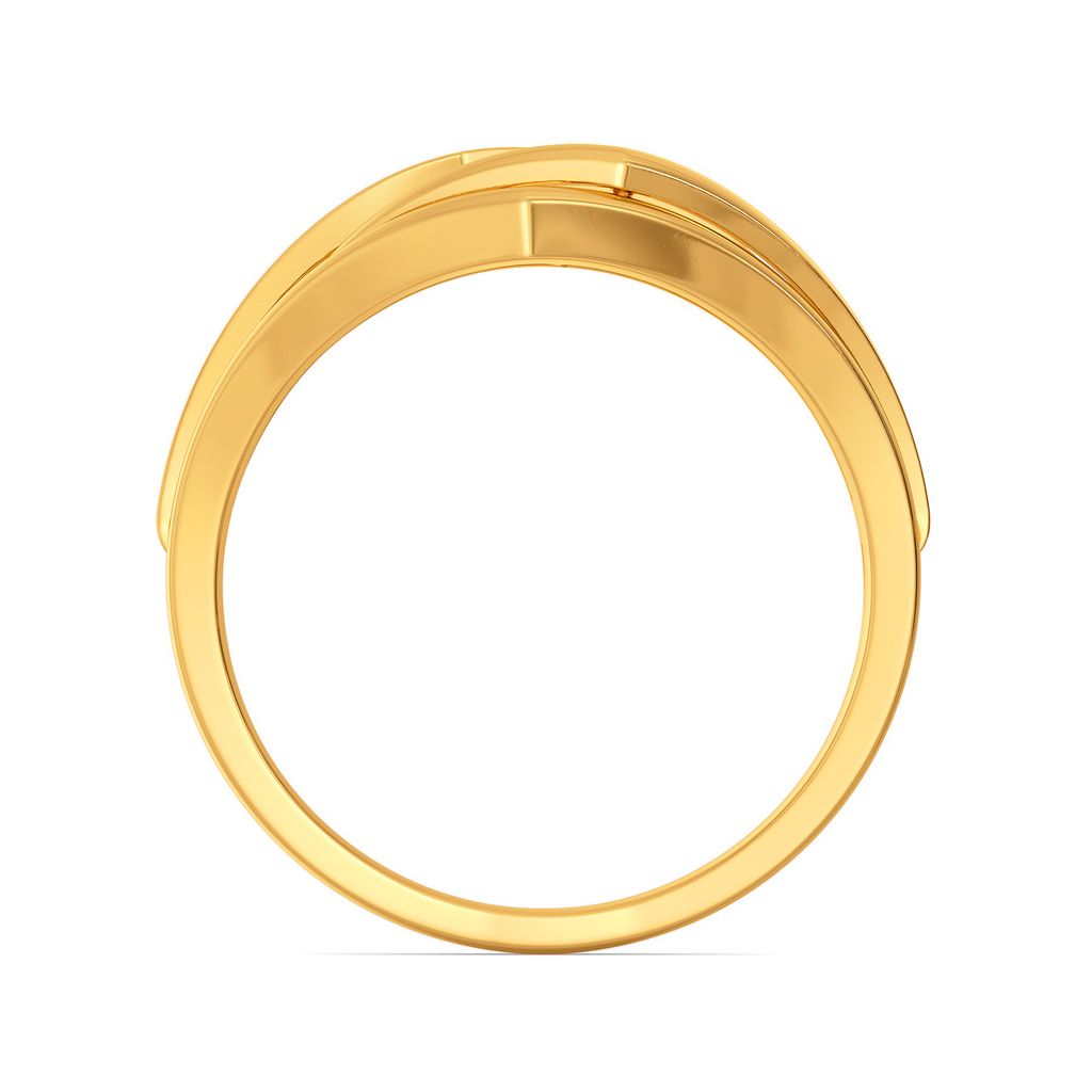 Inners Outers Gold Rings image
