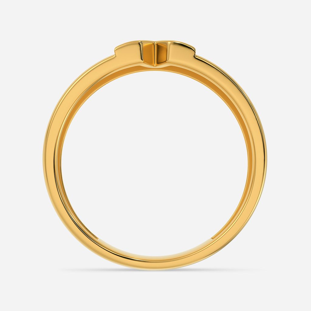 The Leather Land Gold Rings image
