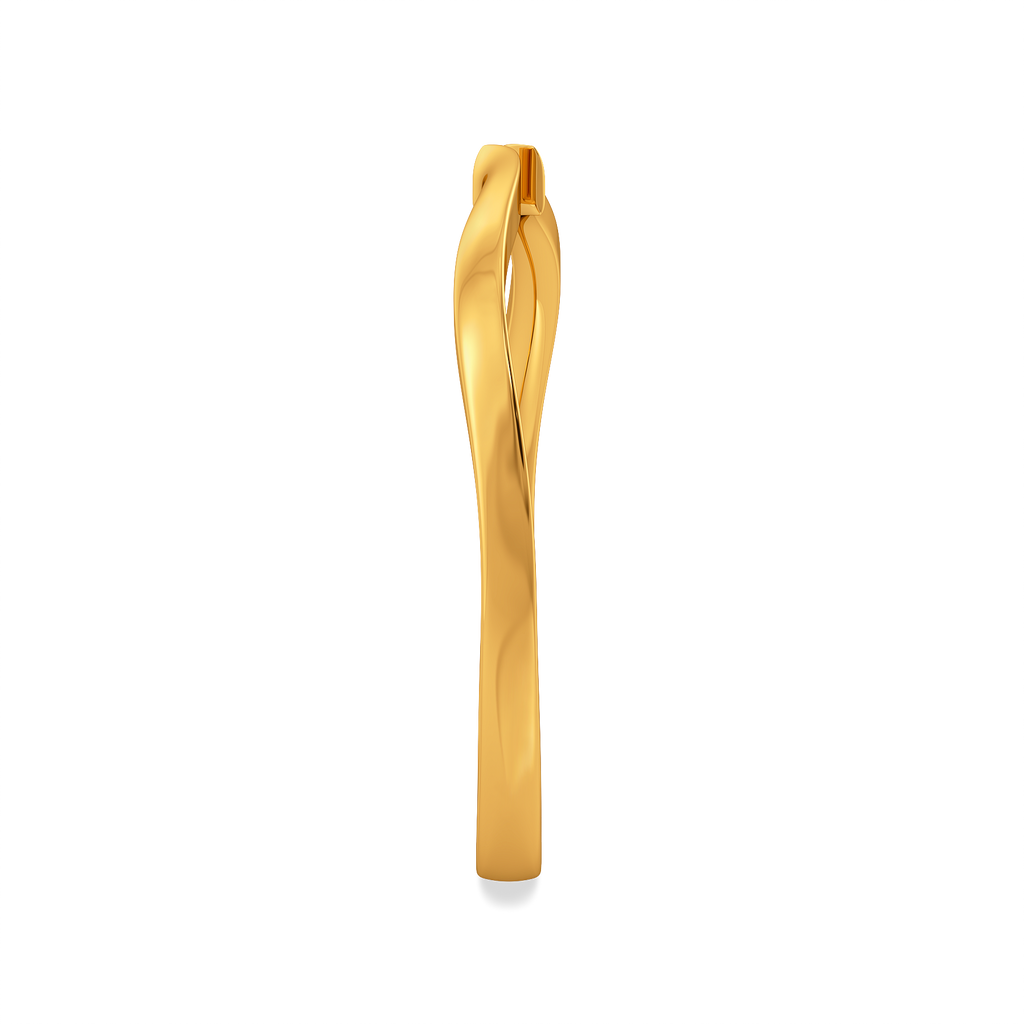 Dreamy Feathers Gold Rings image