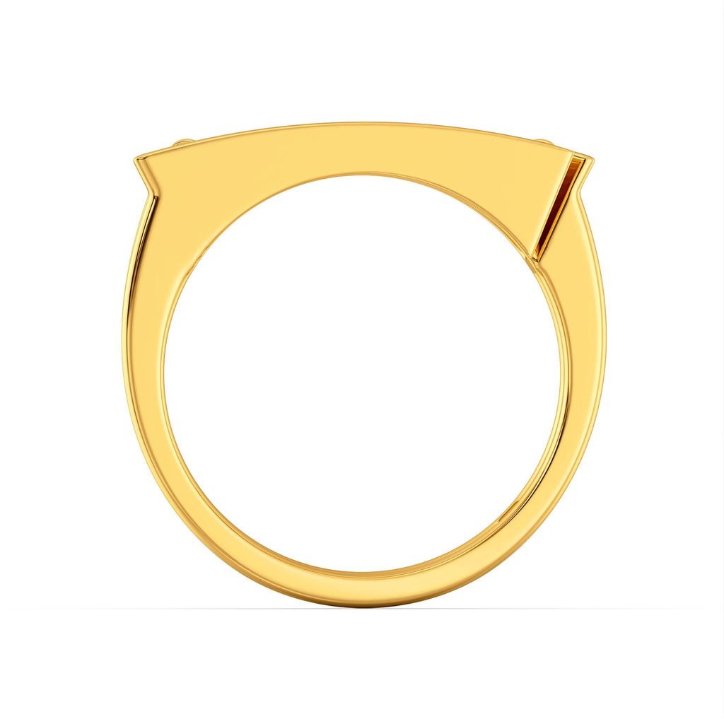 Leather Weather Gold Rings image