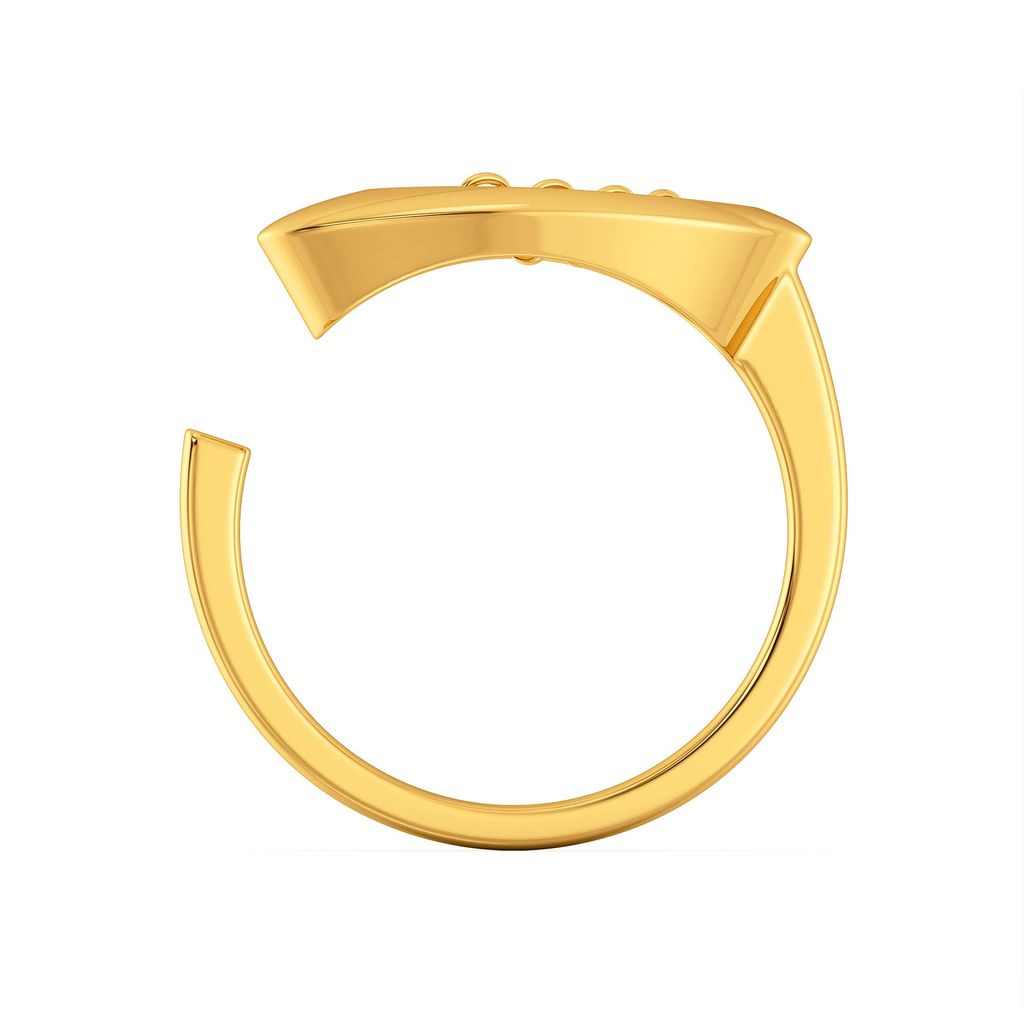 Daring Leather Gold Rings image