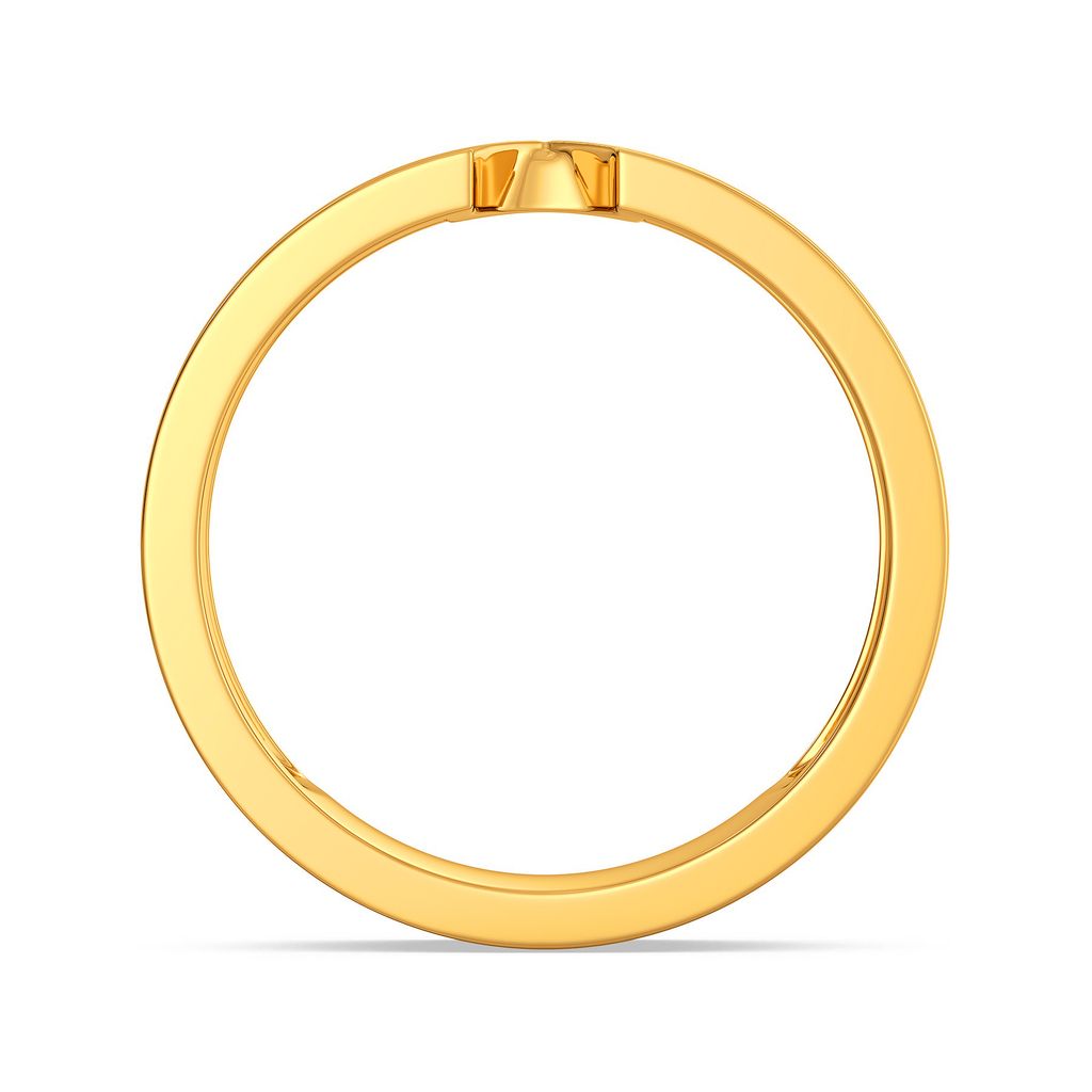 Chic N Combat Gold Rings image