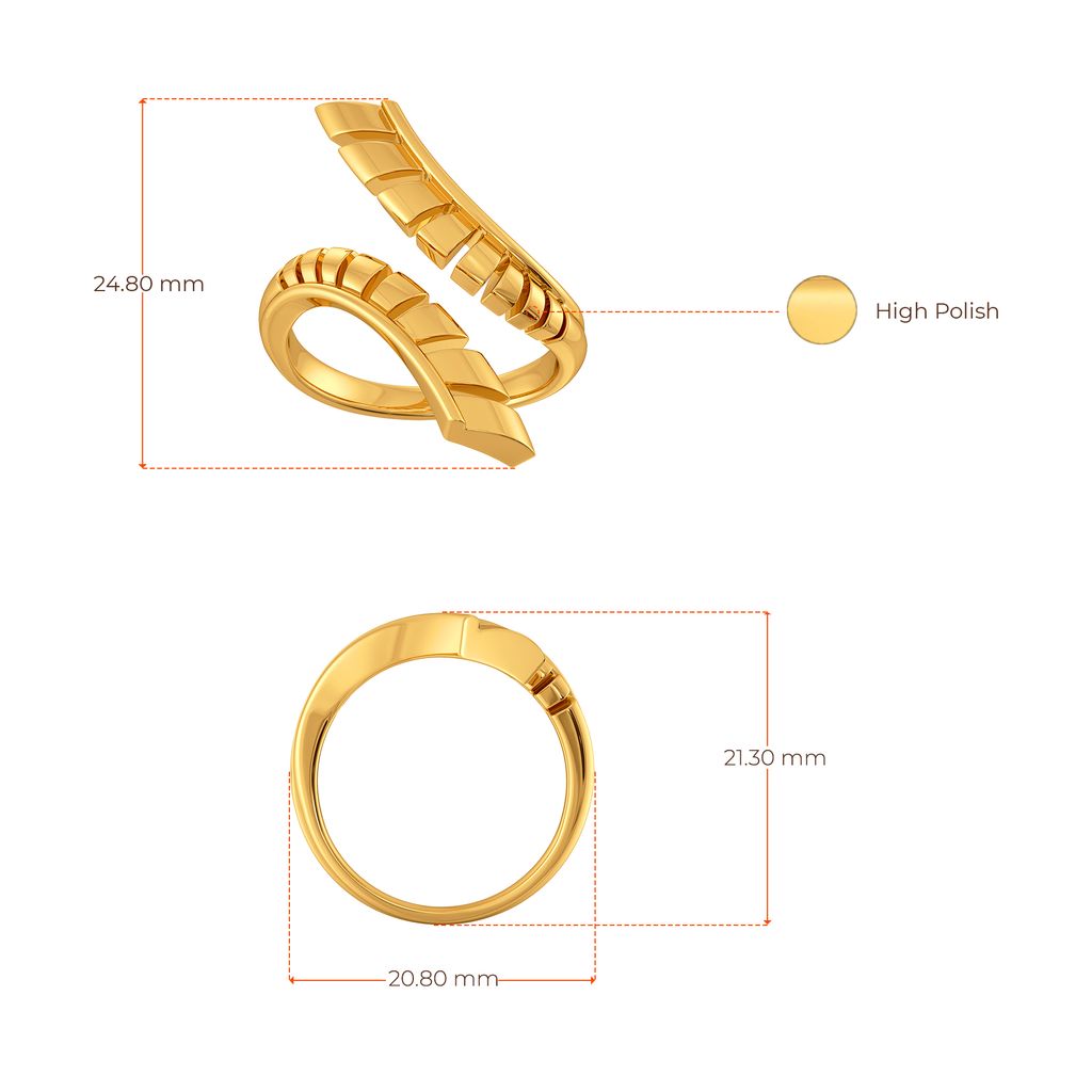 Armour Conceals Gold Rings image
