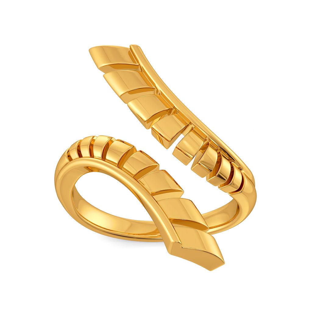 Armour Conceals Gold Rings alternate view 2