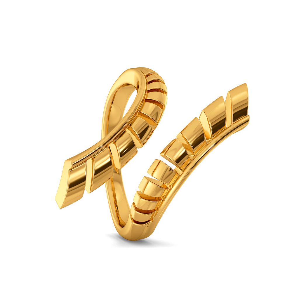 Armour Conceals Gold Rings image