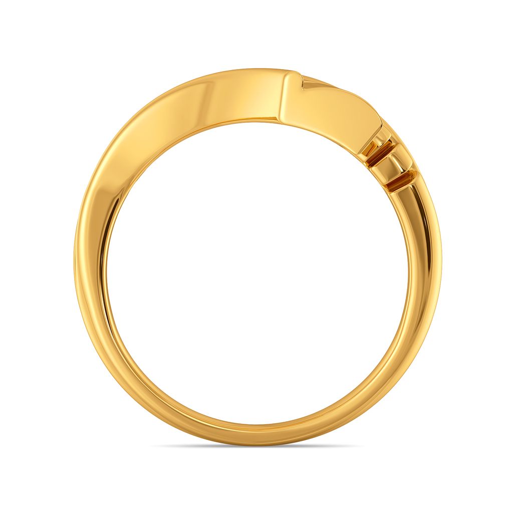 Armour Conceals Gold Rings image