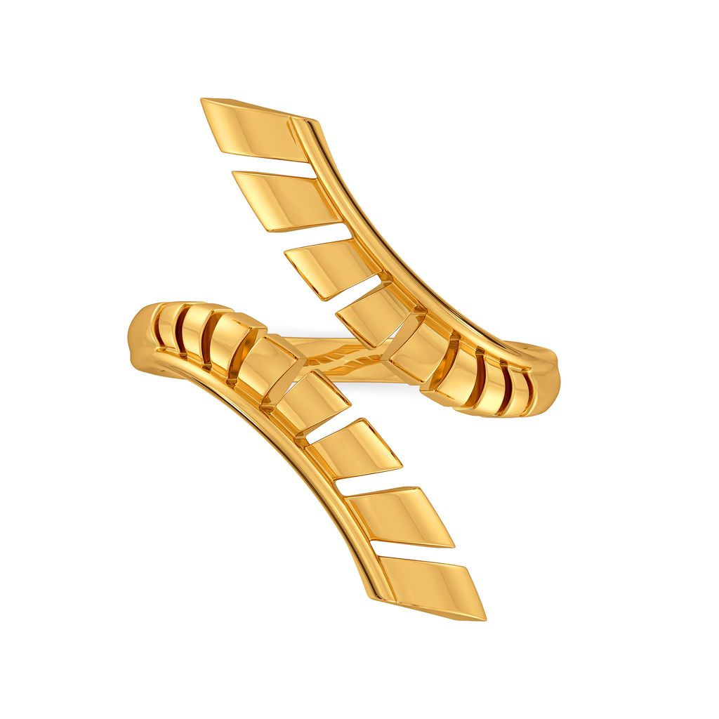 Armour Conceals Gold Rings image