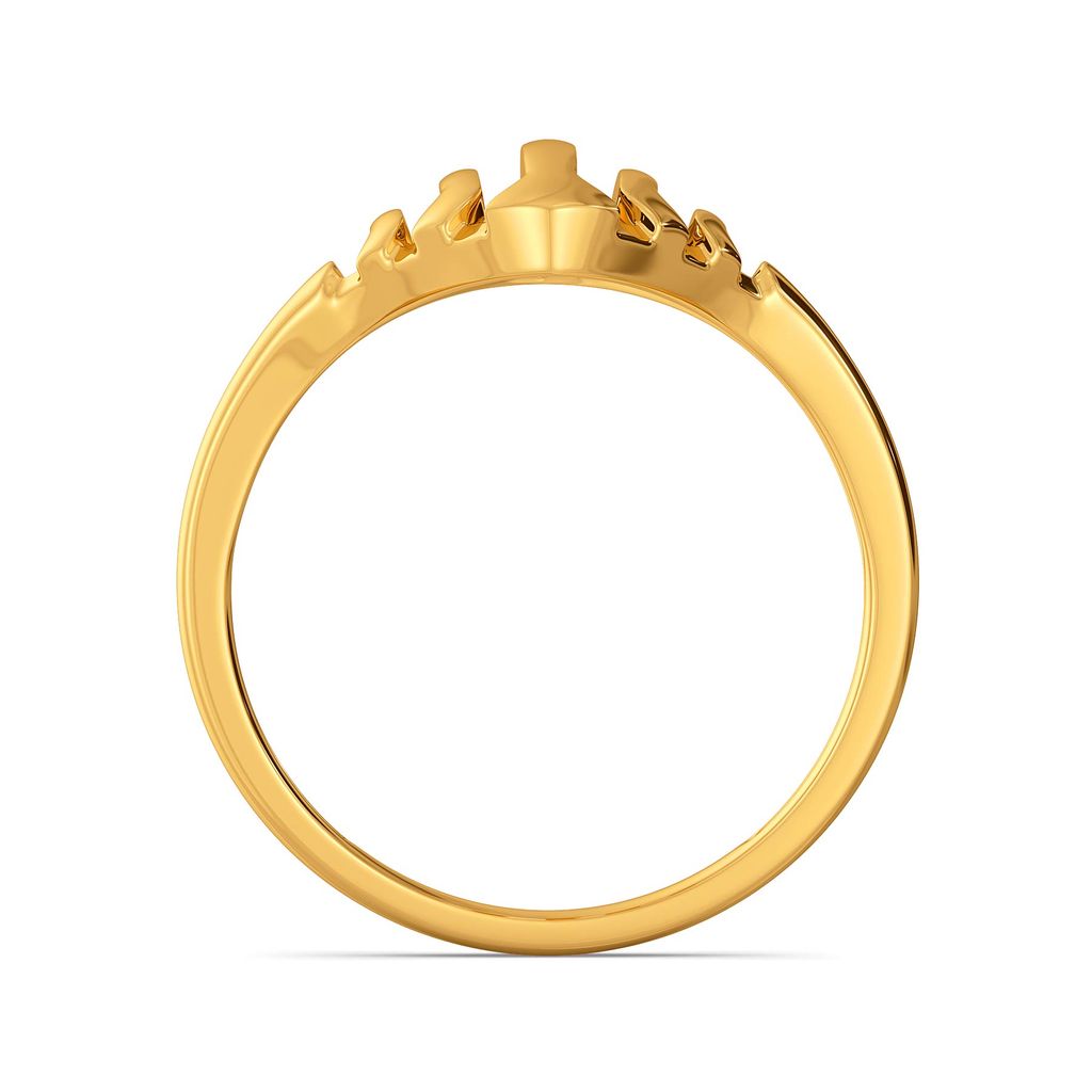 Metallic Armour Gold Rings image
