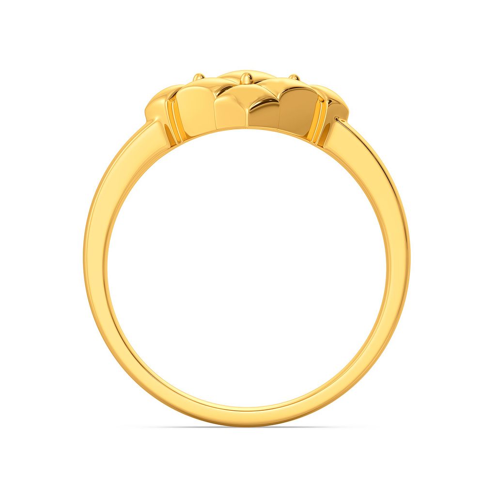 Quilt Quests Gold Rings image