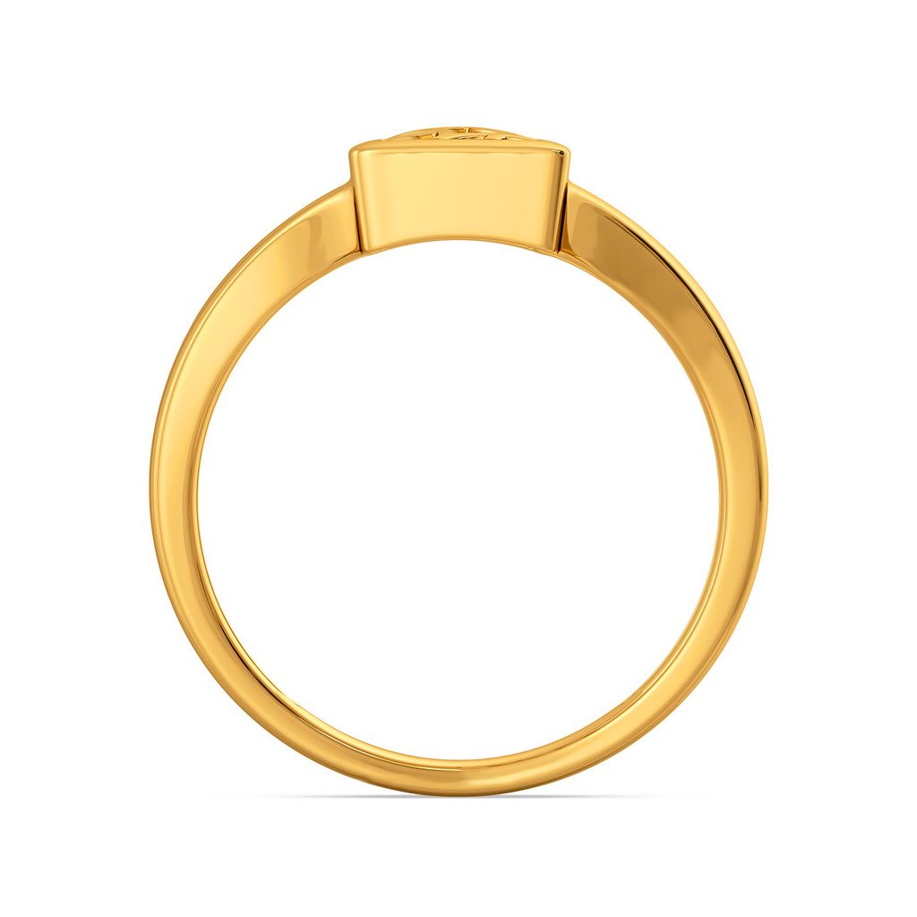 Net Armour Gold Rings image