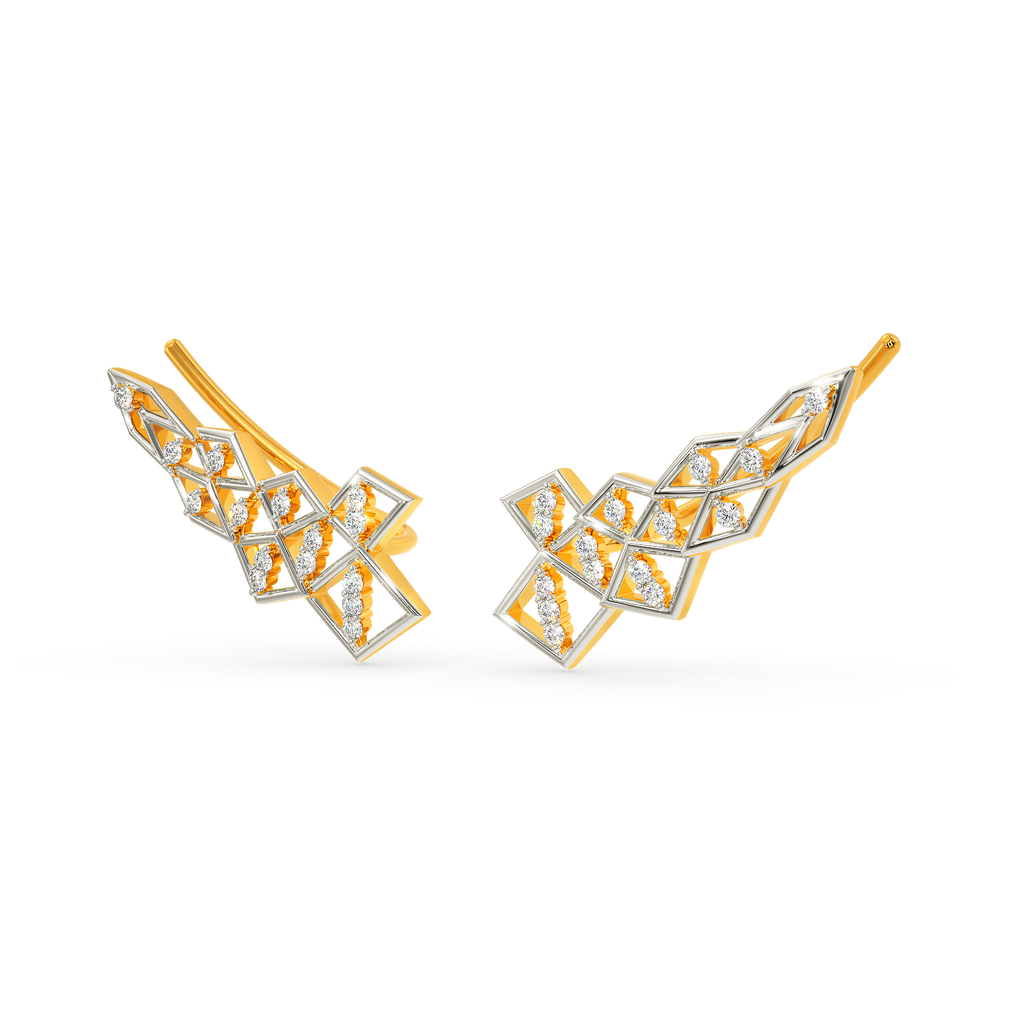 Veiled In Diamond Earrings